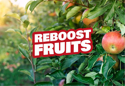 Performance deal in samenwerking met Reboost Fruit - Marketing