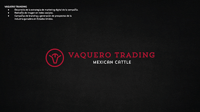 Vaquero Trading - Website Creatie