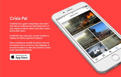 Crisis Pal: Your Safety Ally - Software Development