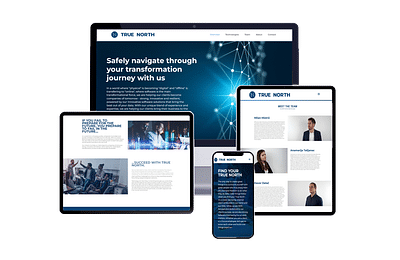 True North Web - Ergonomie (UX / UI)