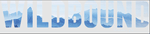 wildboundpr logo