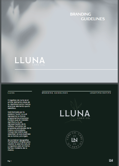 Manual de Marca Lluna - Publicidad