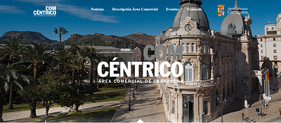 Web impulsada por el Ayuntamiento Cartagena - Redes Sociales