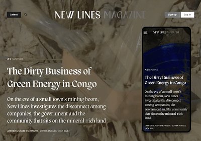 Custom WordPress Development for a News Publisher - Website Creation