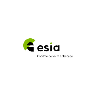 Rebranding d’Esia, copilote de votre entreprise - Markenbildung & Positionierung