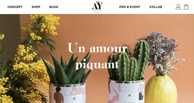 Création de boutique shopify pour AŸ Cactus - Website Creation