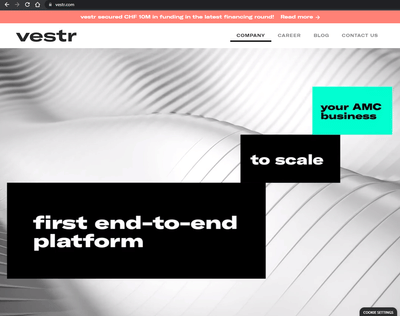 B2B Web Development: FinTech - Digitale Strategie