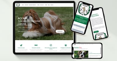 Rediseño WEB & SEO - Website Creation