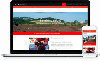 Lombrimadrid. Estrategia digital completa. - Creación de Sitios Web