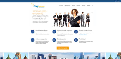 Campaña Google Ads Sky Languages - Online Advertising
