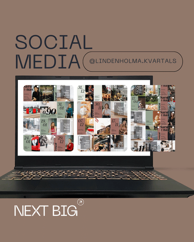 Social media account management Lindenholma quarter - Réseaux sociaux