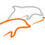 Orange Dolphins