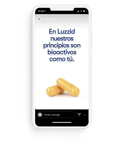 Luzzid: Estrategia digital y web - Website Creation