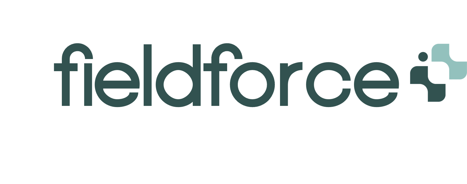 fieldforce+