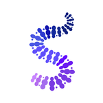 Spinealytics logo