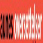 Aunes Oversettelser logo