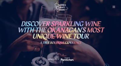 Bubbles Don’t Count — Crafting a Brand for Sparkling Wine Lovers - Branding & Positioning