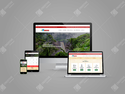 Site web RAINBOW ENVIRONMENT CONSULT - Website Creatie
