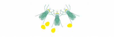 Video corporativo - entomo AgroIndustrial - Grafikdesign