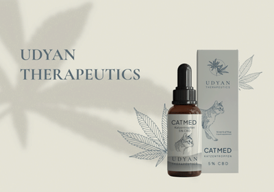 Udyan Therapeutics Markenbildung - Webseitengestaltung