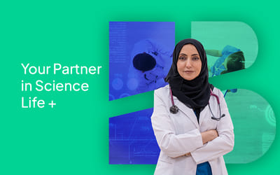 Hayat Biotech - Webseitengestaltung