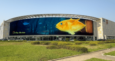 Savola Afia Tuna - 3D Immersive Experience - 3D