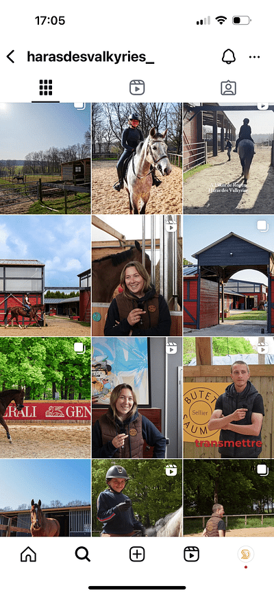 Community management le Haras des valkyries - Community management
