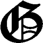 Lev Goldenberg - Grafikdesign & Webdesign logo