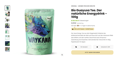 Erstellung von Guayusa.de - Webseitengestaltung