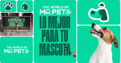 Branding-Desarrollo web-eCommerce_Mr Pets - E-commerce