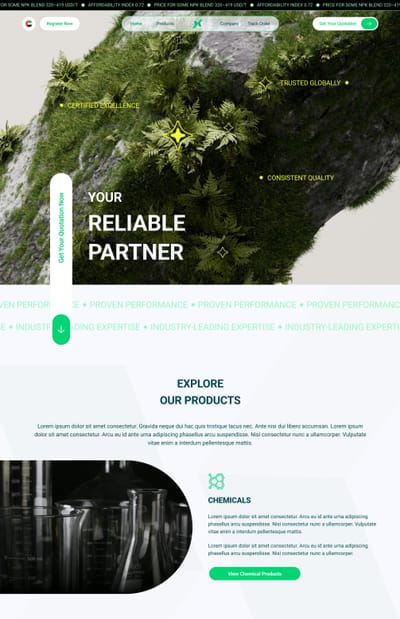 Projexone brand identity and Website creation - Création de site internet