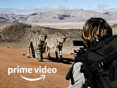 Wildlife Documentaries in Namibia on Amazon Prime - Video Production