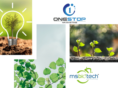 MsBiotech - Website Creation