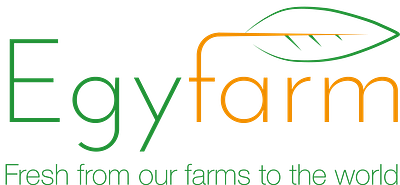 EgyFarm - Brand Identity Design - Reclame