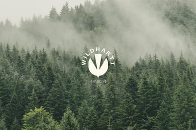 Stratégie de marque - Identité visuelle - Wildhartt - Grafische Identiteit