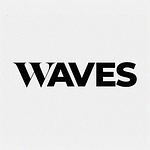 The Waves | Video Agency logo