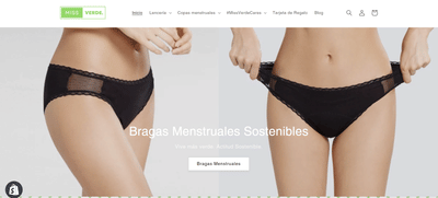 Posicionamiento SEO para MissVerde - SEO