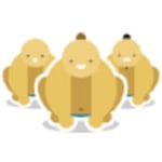 Sumo Coders