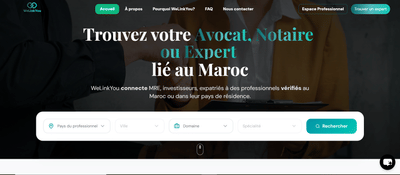 WeLinkYou - Plateforme de mise en relation professionnelle - Intelligence Artificielle