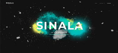 Página web SINALA - Création de site internet