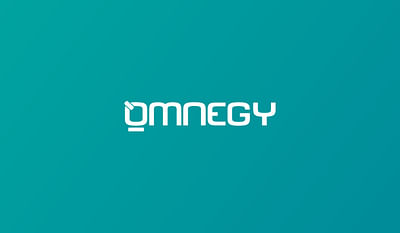 Omnegy - Stratégie d'acquisition et de trafic - Référencement naturel
