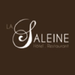 La Saléine