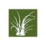 Green Shoots Media logo