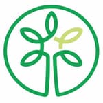 Angel Oak Creative logo