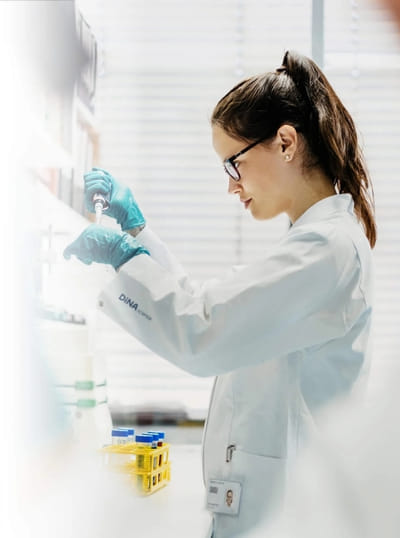 DiNA science: Web - Website Creation
