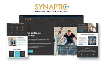 SYNAPTIC - Web analytics/Big data