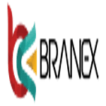 BRANEX INC logo