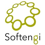 Softengi