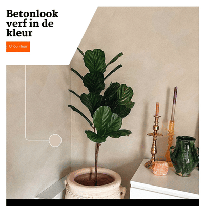 Betonstunter | Social media beheer & Advertising - Social media