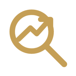 Professional SEO Services
